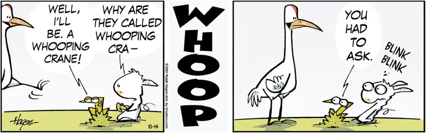 The Barn for Oct 14, 2021