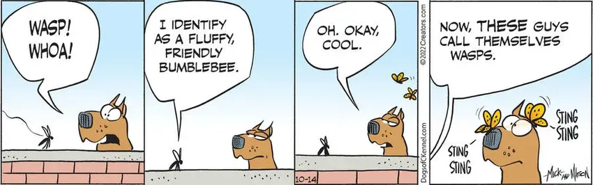Dogs of C-Kennel for Oct 14, 2022