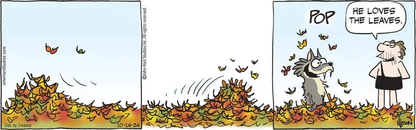 B.C. for Oct 14, 2024