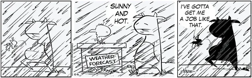 The Barn for Oct 16, 2024