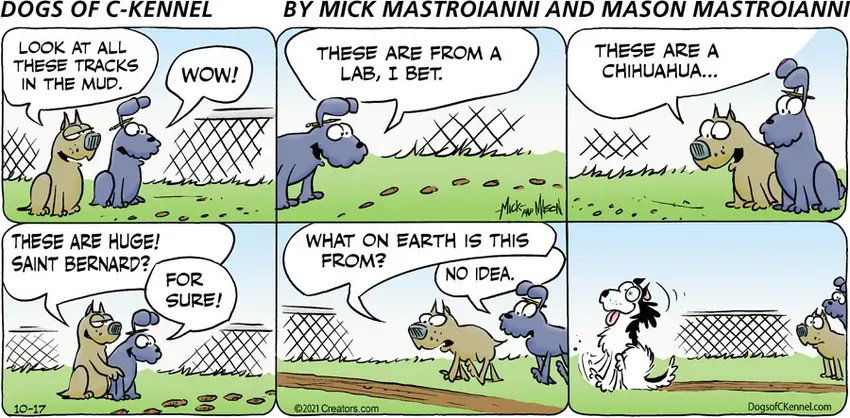 Dogs of C-Kennel for Oct 17, 2021