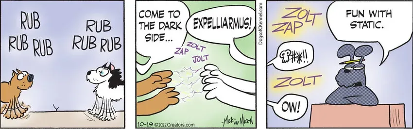 Dogs of C-Kennel for Oct 19, 2022