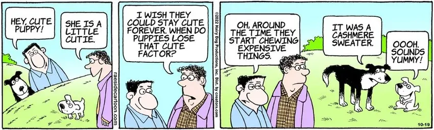 The Other Coast for Oct 19, 2022