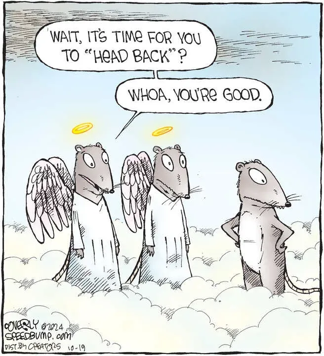 Speed Bump for Oct 19, 2024