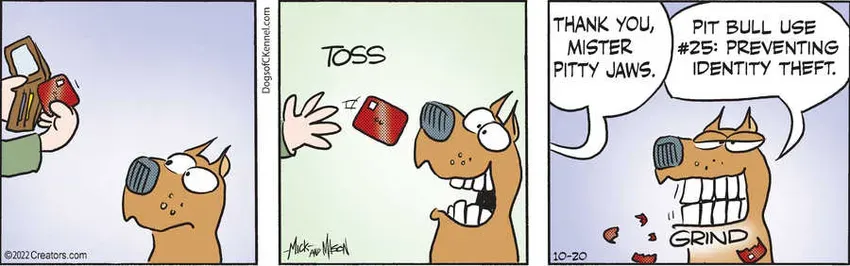 Dogs of C-Kennel for Oct 20, 2022