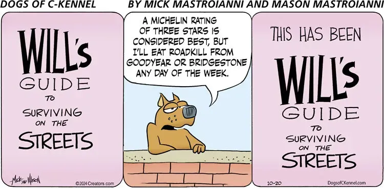 Dogs of C-Kennel for Oct 20, 2024