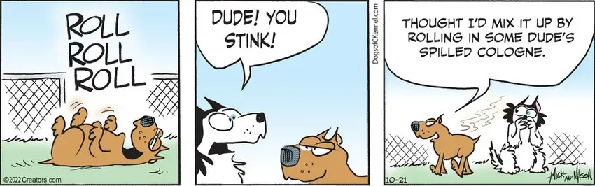 Dogs of C-Kennel for Oct 21, 2022