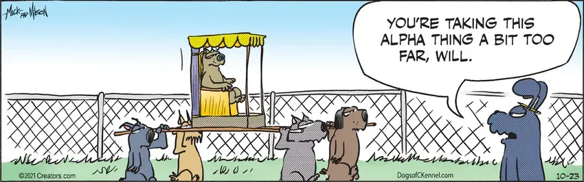 Dogs of C-Kennel for Oct 23, 2021