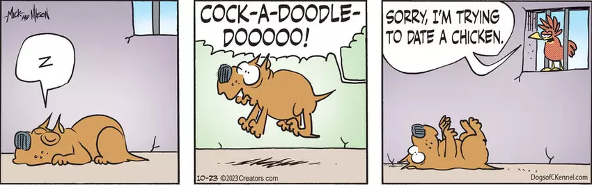 Dogs of C-Kennel for Oct 23, 2023