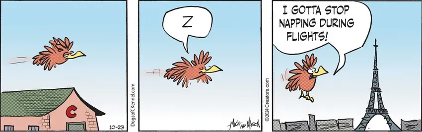 Dogs of C-Kennel for Oct 23, 2024