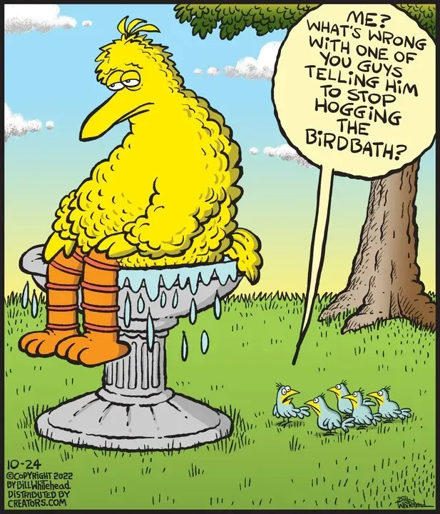 Free Range for Oct 24, 2022