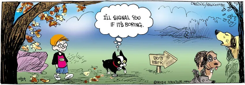 Zack Hill for Oct 24, 2024