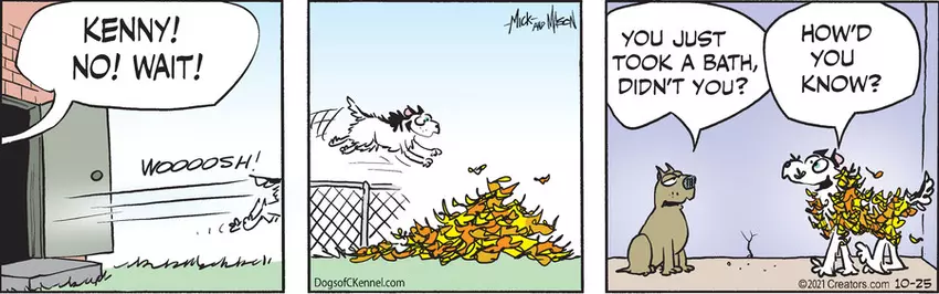 Dogs of C-Kennel for Oct 25, 2021