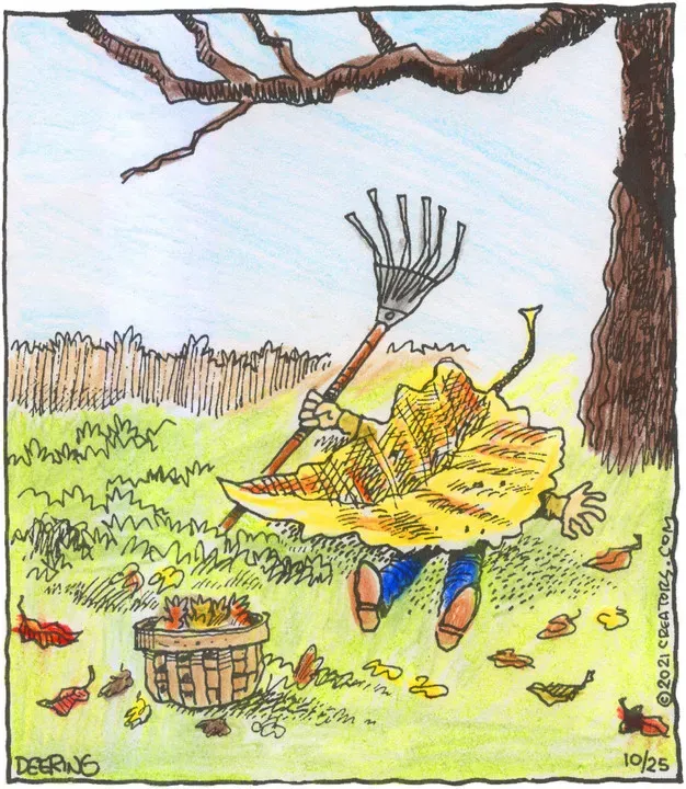 Strange Brew for Oct 25, 2021