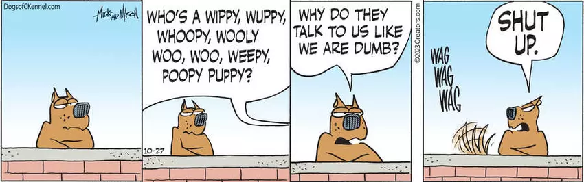 Dogs of C-Kennel for Oct 27, 2023