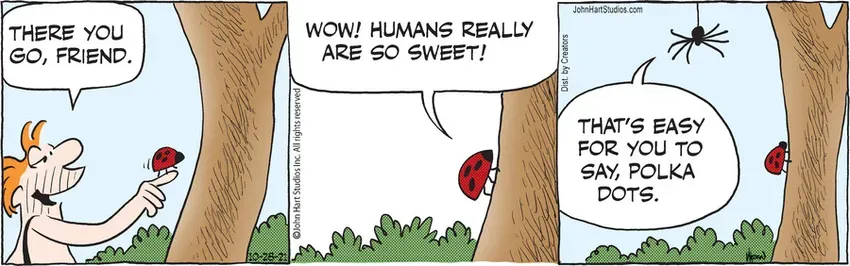 B.C. for Oct 28, 2021