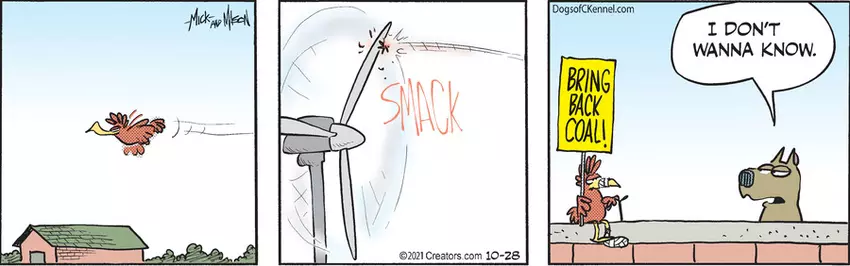 Dogs of C-Kennel for Oct 28, 2021