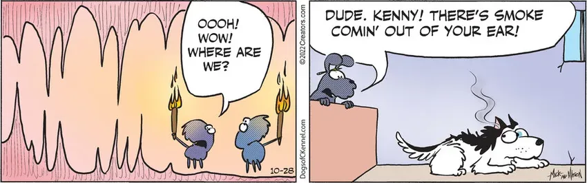 Dogs of C-Kennel for Oct 28, 2022