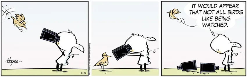 The Barn for Oct 28, 2024