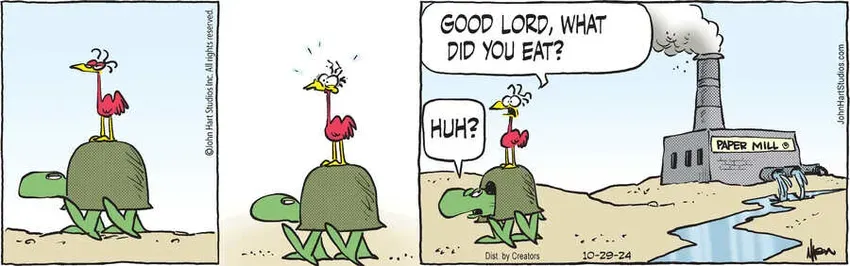 B.C. for Oct 29, 2024