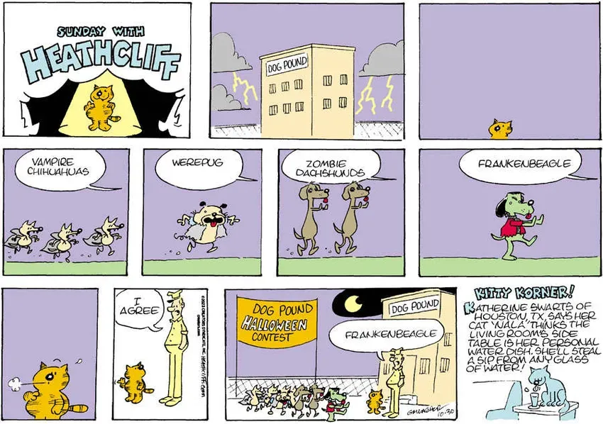 Heathcliff for Oct 30, 2022