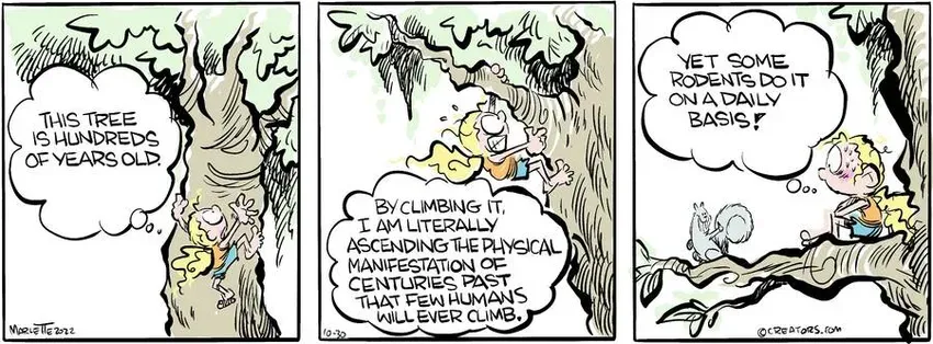 Shrimp and Grits for Oct 30, 2024