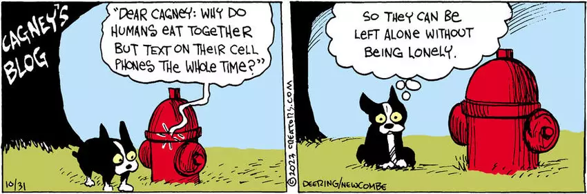 Zack Hill for Oct 31, 2023