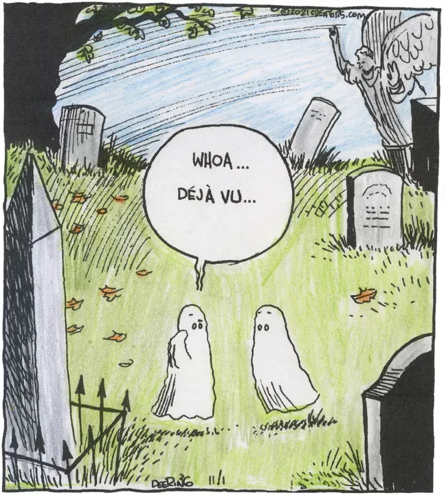 Strange Brew for Nov 01, 2021