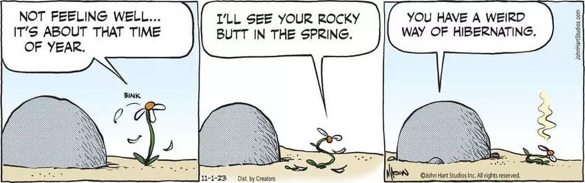 B.C. for Nov 01, 2023