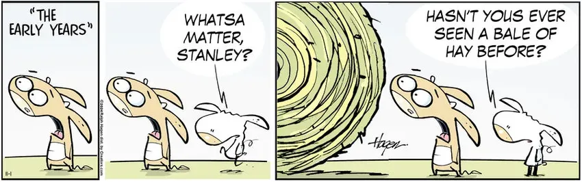 The Barn for Nov 01, 2024