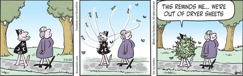 Wizard of Id for Nov 02, 2022