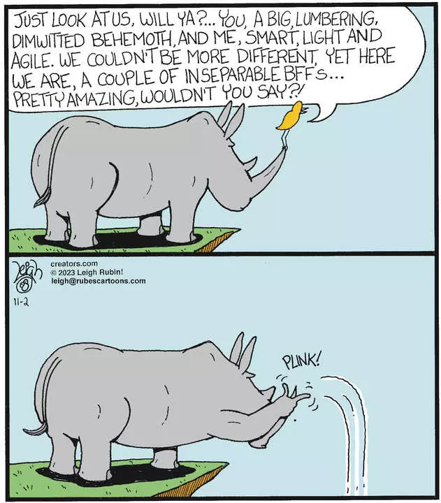 Rubes® for Nov 02, 2023