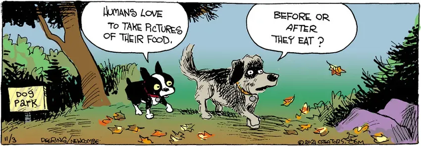 Zack Hill for Nov 03, 2021