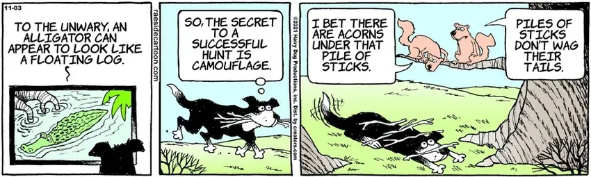 The Other Coast for Nov 03, 2021