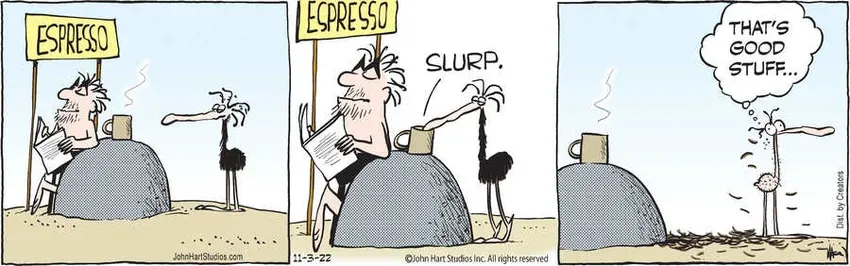 B.C. for Nov 03, 2022