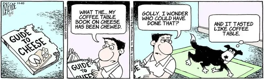 The Other Coast for Nov 03, 2022