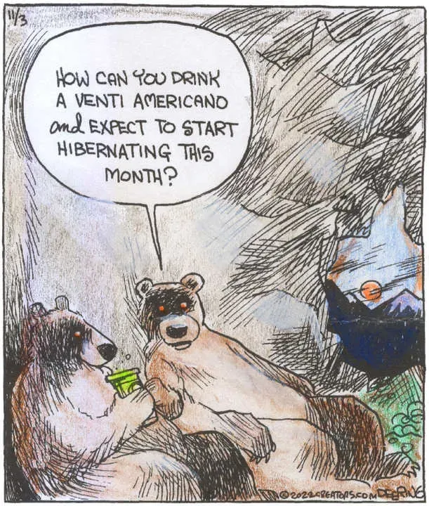 Strange Brew for Nov 03, 2022