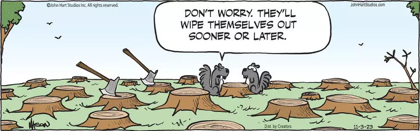 B.C. for Nov 03, 2023