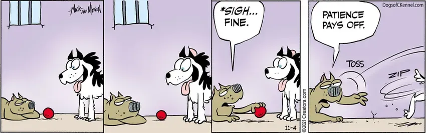 Dogs of C-Kennel for Nov 04, 2021