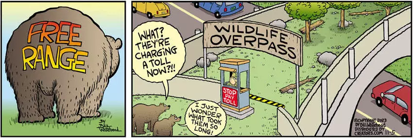 Free Range for Nov 05, 2023