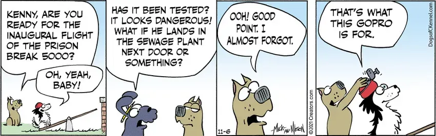 Dogs of C-Kennel for Nov 06, 2021