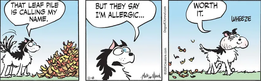 Dogs of C-Kennel for Nov 06, 2024