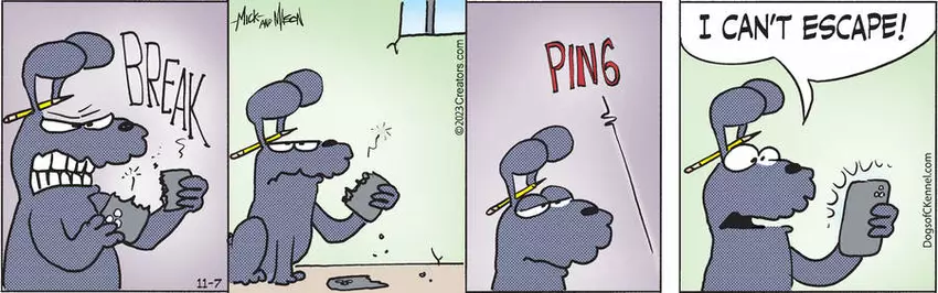 Dogs of C-Kennel for Nov 07, 2023