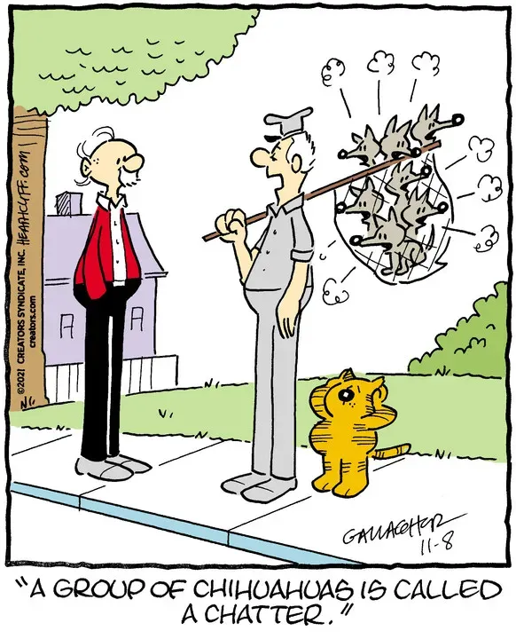 Heathcliff for Nov 08, 2021