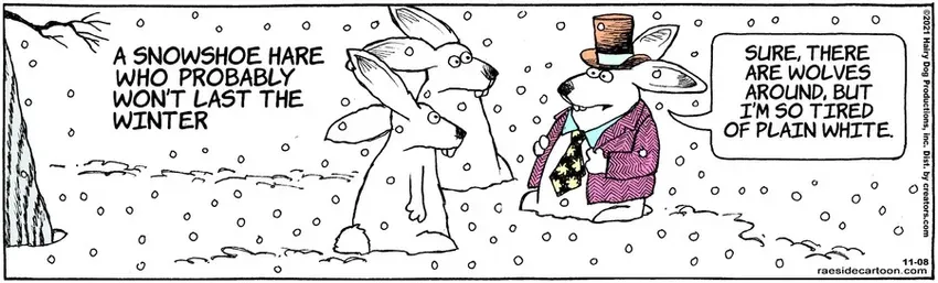 The Other Coast for Nov 08, 2021