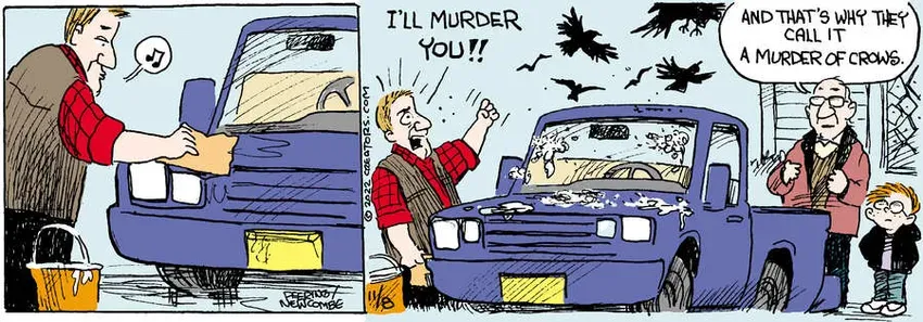 Zack Hill for Nov 08, 2022