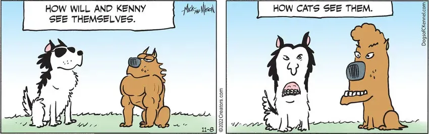 Dogs of C-Kennel for Nov 08, 2022