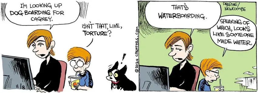 Zack Hill for Nov 08, 2024