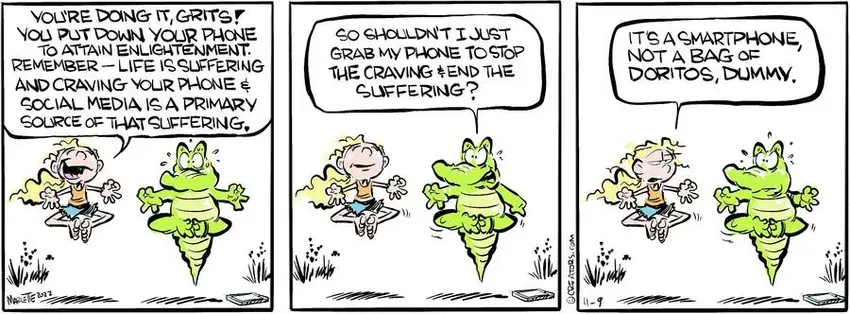 Shrimp and Grits for Nov 09, 2024