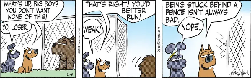 Dogs of C-Kennel for Nov 09, 2024